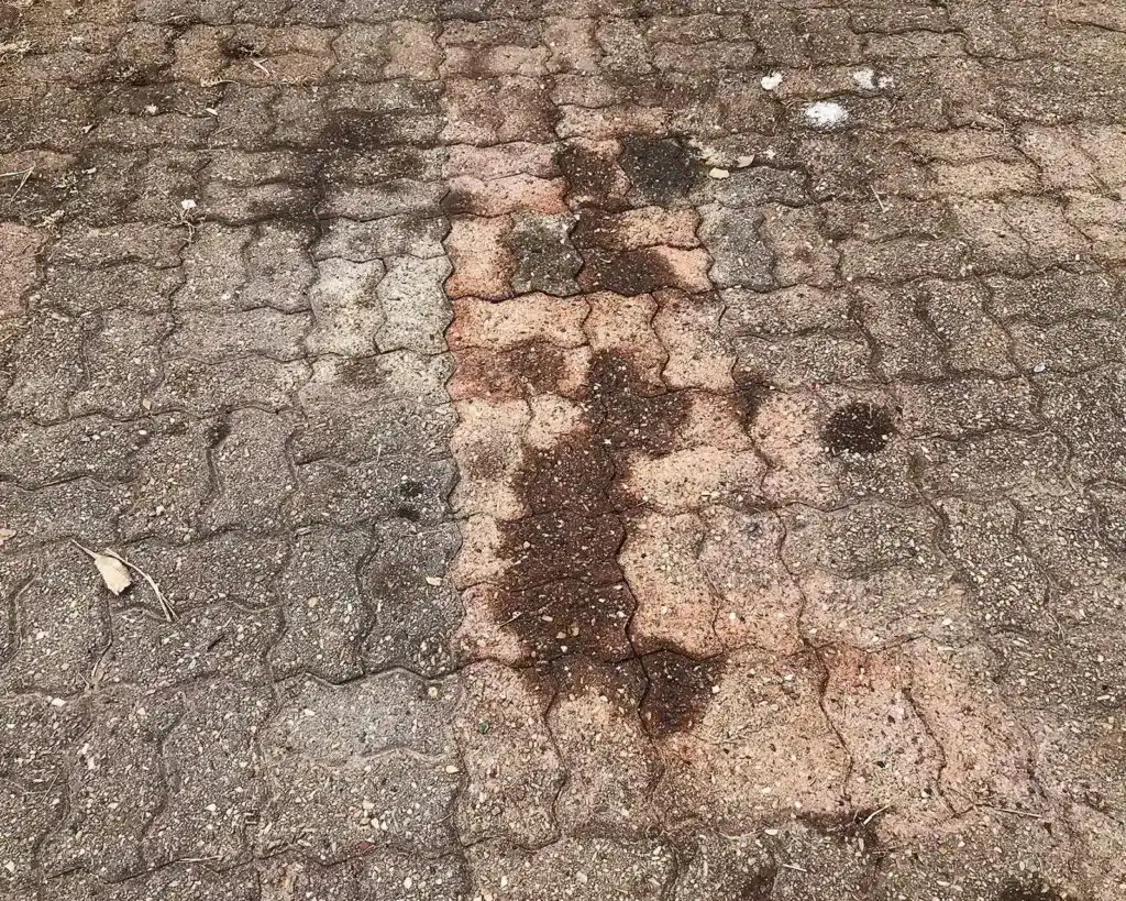 rust stain removal northern rivers